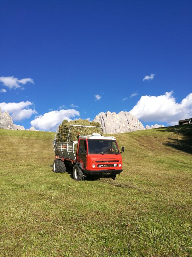 Chalet Tschogerhof Tiers Am Rosengarten Dolomiten Luaran gambar